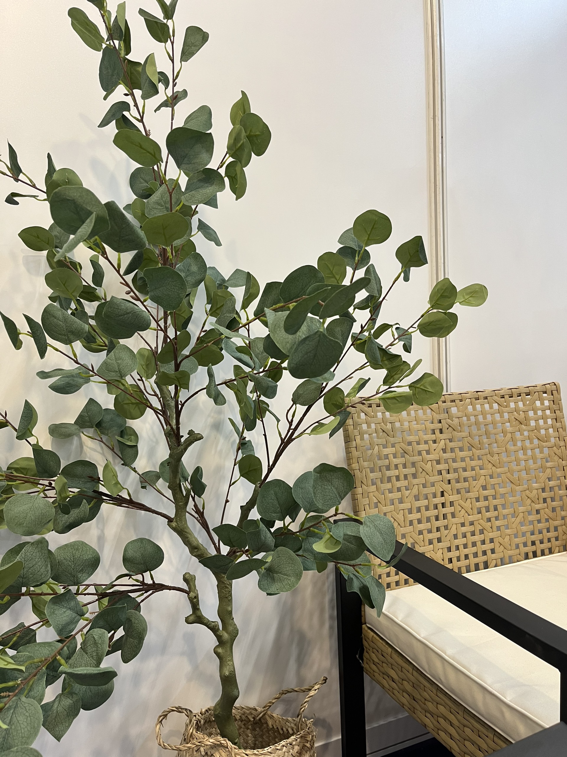 2f46778a5963833dda72